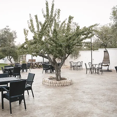 Hotel Pirotta 3*