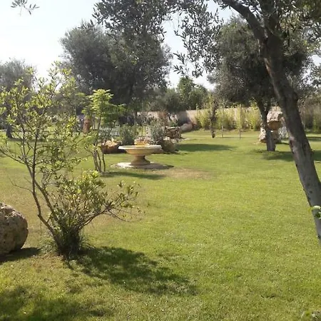 Pirotta 3*